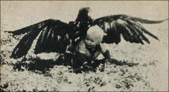 بالصور.. حادثة اختطاف نسر لطفلة صغيرة عام 1932!!  صورة رقم 1