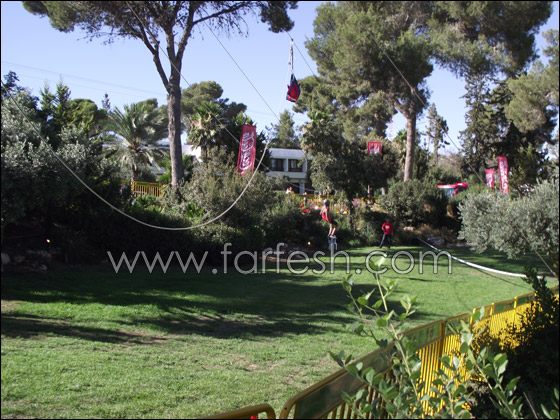 رقص وغناء واثارة في أكبر احتفال للشبيبة من كوكا كولا صورة رقم 18 رقص وغناء واثارة في أكبر احتفال للشبيبة من كوكا كولا صورة رقم 18