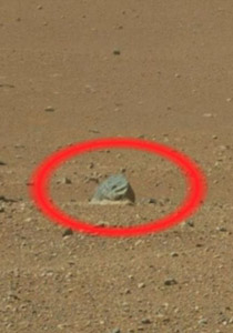 العثور على صخور شبيهة بالحذاء على سطح المريخ!!   صورة رقم 1