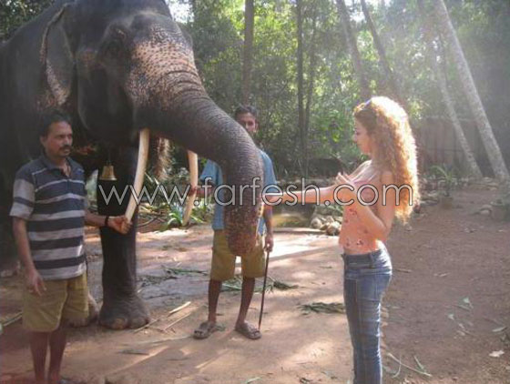 شاهدوا بالصور.. ميريام فارس تتجول حول العالم صورة رقم 2 شاهدوا بالصور.. ميريام فارس تتجول حول العالم صورة رقم 2