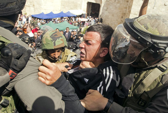 عشرات المستوطنون يقتحمون باحات المسجد الأقصى   صورة رقم 7