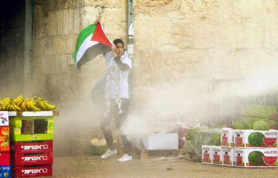 عشرات المستوطنون يقتحمون باحات المسجد الأقصى   صورة رقم 9