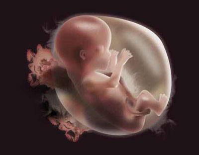 اسبانيا: تسرب النيتروجين في مستشفى يؤدي الى فقدان 700 جنين! صورة رقم 1