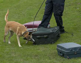 تنفيذ حكم الإعدام لسوري حاول تهريب حبوب مخدّرة إلى السعودية صورة رقم 1