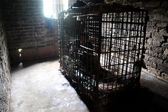 صور مؤلمة: أم سجنت ابنها المريض عقليا في قفص منذ 11 عاما  صورة رقم 3