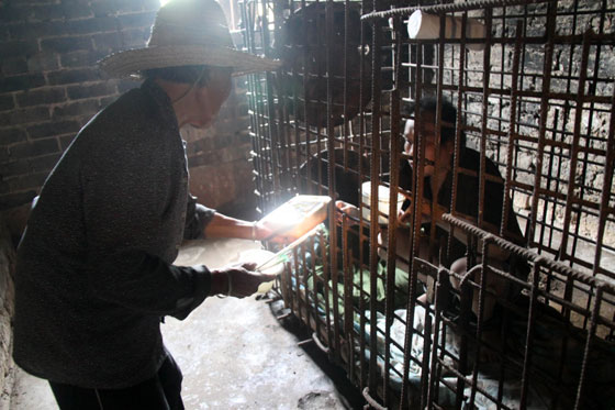 صور مؤلمة: أم سجنت ابنها المريض عقليا في قفص منذ 11 عاما  صورة رقم 5