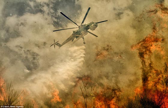 صور مرعبة لمخاطرة طيارين بحياتهم من أجل إخماد حرائق  صورة رقم 1