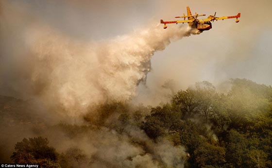 صور مرعبة لمخاطرة طيارين بحياتهم من أجل إخماد حرائق  صورة رقم 11