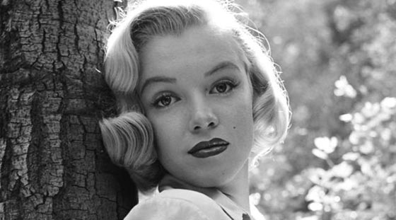 مارلين مونرو: الرئيس كنيدي وشقيقه تناقلاني بينهما كقطعة لحم  صورة رقم 21