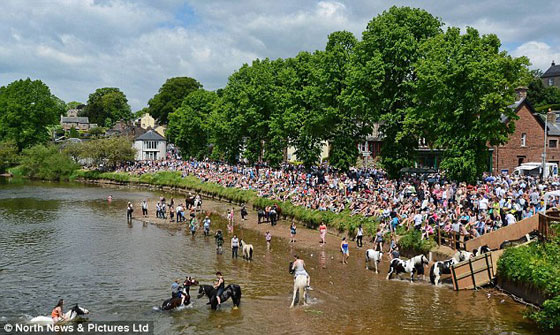 الشرطة تستخدم حافلة مدرسية ممتلئة بالاطفال لايقاف سيارة هاربة صورة رقم 5