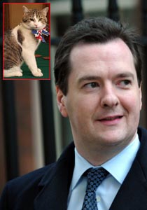 هل تم تجنيد قطة وزير المالية البريطاني لتكون جاسوسة للصين؟! صورة رقم 1