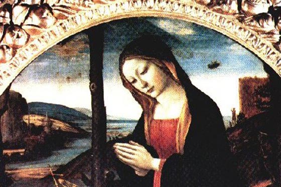 أسرار تاريخ الكائنات الفضائية على الأرض (2) صورة رقم 1 أسرار تاريخ الكائنات الفضائية على الأرض (2) صورة رقم 1