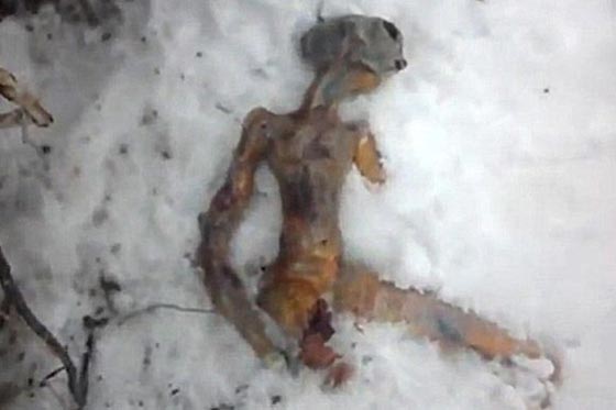 أسرار تاريخ الكائنات الفضائية على الأرض (3)  صورة رقم 5