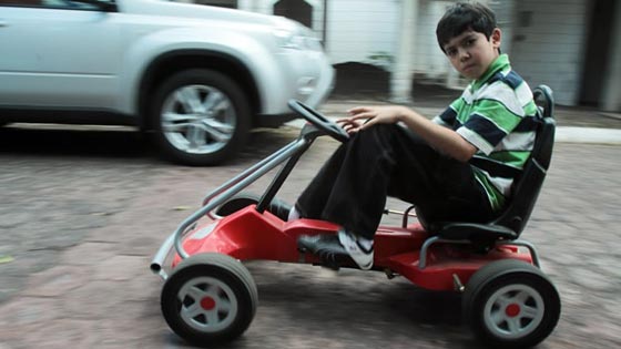 ديك مكسيكي فصيح من البيضة بيصيح صورة رقم 2