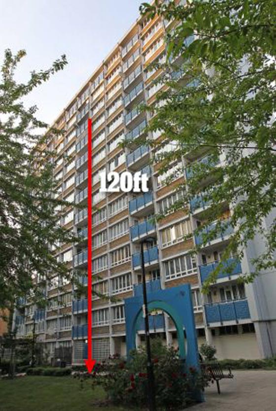 تركتها والدتها للحظات على شرفة المنزل فسقطت نوال ولقيت مصرعها صورة رقم 8