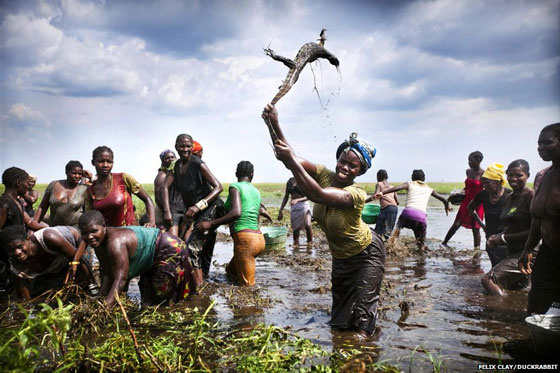 بالصور: مسابقة أفضل صورة صحفية لعام 2013  صورة رقم 5