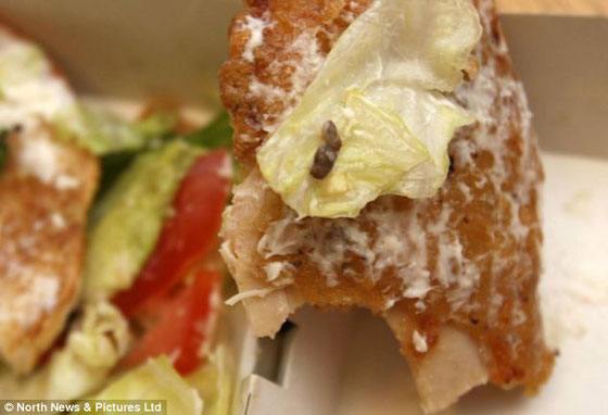 زبون اصيب بالذعر حين وجد (دودة) في وجبة برجر كينج  صورة رقم 4