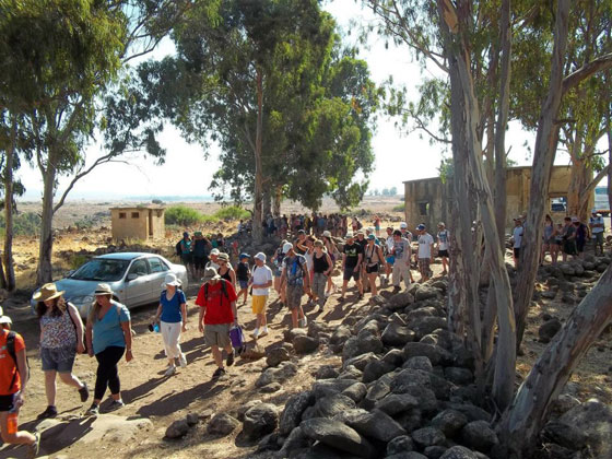 القهوة التركية من عليت وموقع 