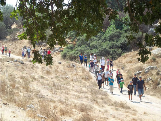 القهوة التركية من عليت وموقع 