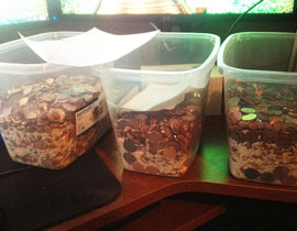 زوجة غاضبة تدفع لزوجها تكاليف طلاقها بالقروش (السنتات) صورة رقم 2