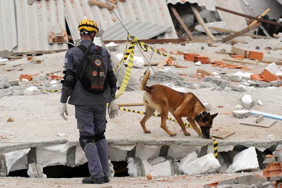 وفاة 6 أشخاص في إنهيار مبنى بالبرازيل  صورة رقم 9