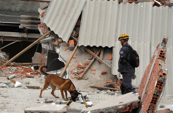 وفاة 6 أشخاص في إنهيار مبنى بالبرازيل  صورة رقم 12