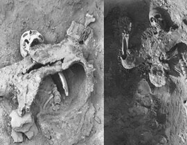 أول ضحايا السلاح الكيماوي سقطوا في سوريا قبل 1700 عام صورة رقم 1