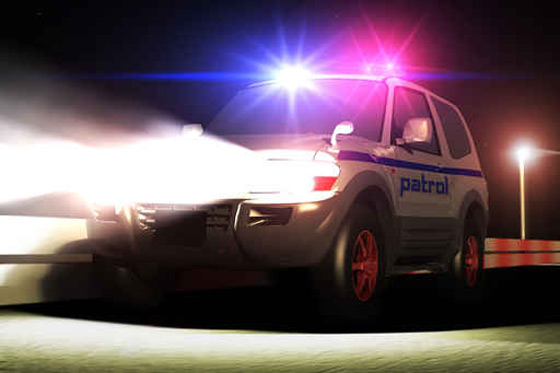 شقيقة مذيعة مشهورة يقبض عليها في حالة ثمول! صورة رقم 1