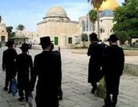استفزاز جديد.. سماح اسرائيلي رسمي لليهود بالصلاة في الاقصى صورة رقم 1