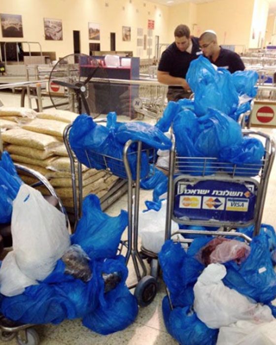 أكبر عملية تهريب ذهب وهواتف ومعسل بسيارة القنصل الفرنسي صورة رقم 2