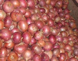 الحكومة الهندية تذرف الدموع بسبب.. البصل! صورة رقم 1