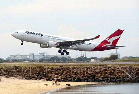 ثعبان سام يتسبب بالغاء رحلة طيران في سيدني! صورة رقم 1