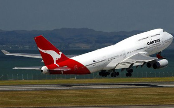 ثعبان سام يتسبب بالغاء رحلة طيران في سيدني! صورة رقم 3