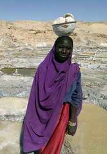 سوداني يذبح أمه وشقيقه وشقيقته لأن في المنزل تلفزيون!!  صورة رقم 1