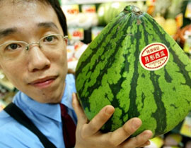 فاكهة يابانية بسعر الذهب.. بيع عنقود عنب بثلاثة الاف يورو صورة رقم 1