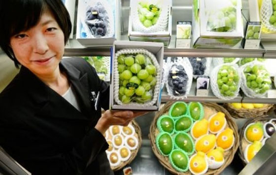 فاكهة يابانية بسعر الذهب.. بيع عنقود عنب بثلاثة الاف يورو صورة رقم 2