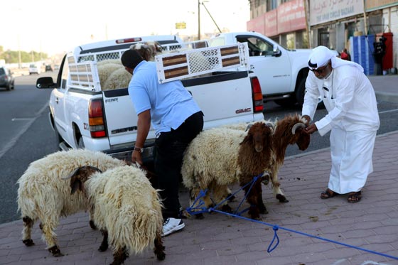 بالصور.. شاهدوا احتفالات شعوب العالم بعيد الاضحى صورة رقم 24