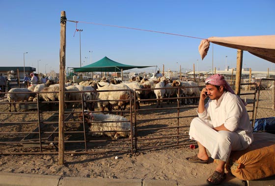 بالصور.. شاهدوا احتفالات شعوب العالم بعيد الاضحى صورة رقم 25