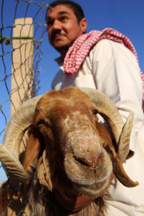 بالصور.. شاهدوا احتفالات شعوب العالم بعيد الاضحى صورة رقم 26