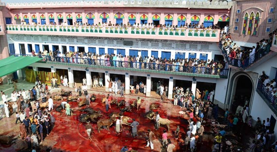 بالصور.. شاهدوا احتفالات شعوب العالم بعيد الاضحى صورة رقم 44