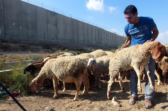بالصور.. شاهدوا احتفالات شعوب العالم بعيد الاضحى صورة رقم 50
