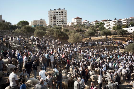 بالصور.. شاهدوا احتفالات شعوب العالم بعيد الاضحى صورة رقم 51