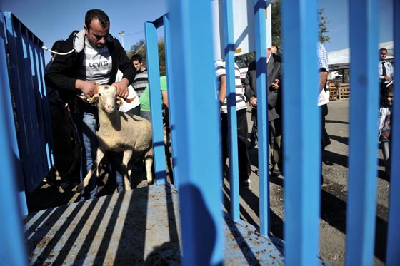 بالصور.. شاهدوا احتفالات شعوب العالم بعيد الاضحى صورة رقم 62