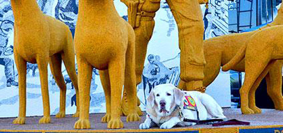 امريكا تدشن أول نصب تذكاري للكلاب الوطنية وحراس الحرية! صورة رقم 6