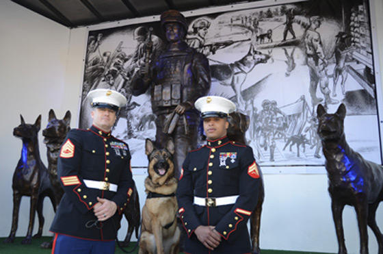 امريكا تدشن أول نصب تذكاري للكلاب الوطنية وحراس الحرية! صورة رقم 2