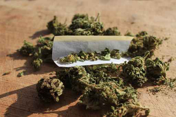 بقيادة الاب.. عصابة عائلية تُروِّج للحشيش! صورة رقم 1