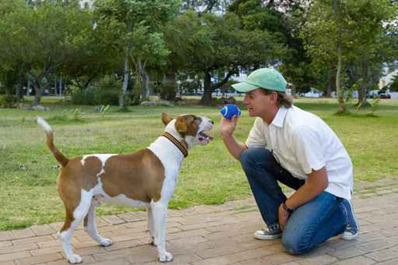  العلماء يكشفون عن المكان الاول للكلاب الاليفة صورة رقم 1