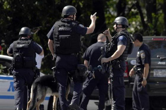 شرطة ايسلندا تقتل رجلا لاول مرة في تاريخها!! صورة رقم 2