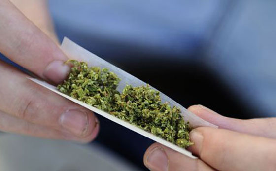 قريبا.. بيع الحشيش في المانيا بشكل قانوني!! صورة رقم 1 قريبا.. بيع الحشيش في المانيا بشكل قانوني!! صورة رقم 1