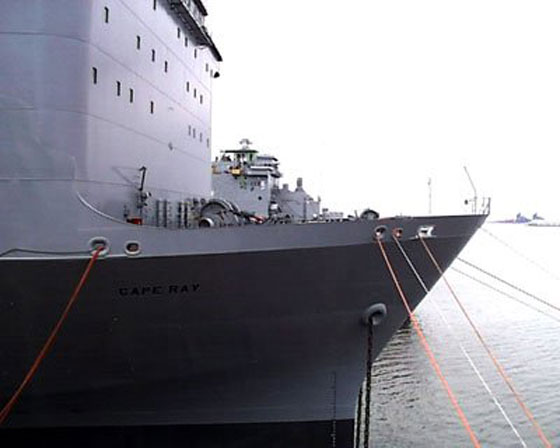 سفينة سعودية لتدمير السلاح السوري الكيماوي! صورة رقم 3